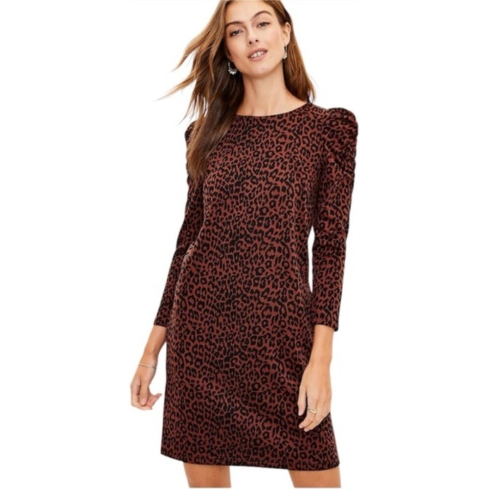 Loft Leopard Print Puff Shoulder Long Sleeve Shift Dress Brown Black Size M